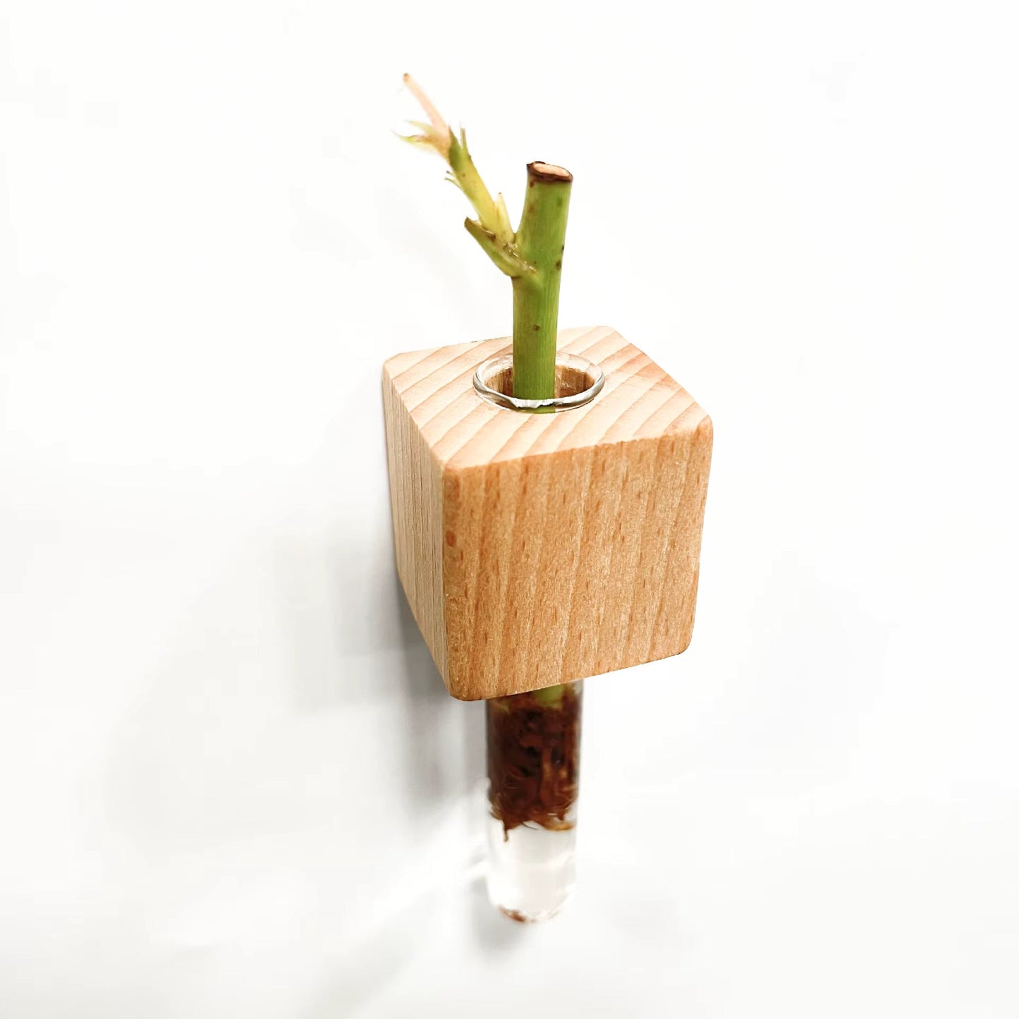 Magnetic Fridge Glass Tube Planter