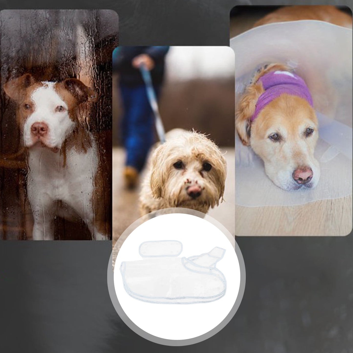 PVC waterproof transparent raincoat dress for pet puppies, with hood