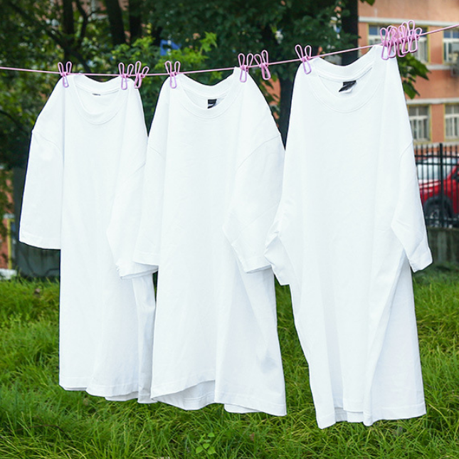 Portable Outdoor Clothesline with 12 Clips