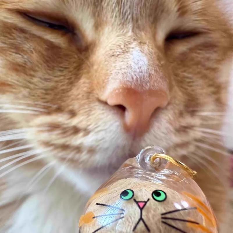 Cat Hair Storage Bottle,Keychain for Collecting Cat and Dog Hair, Cute Pet Memorial Gifts