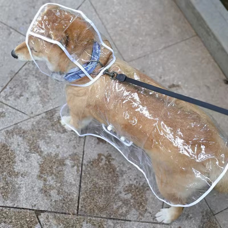 PVC waterproof transparent raincoat dress for pet puppies, with hood