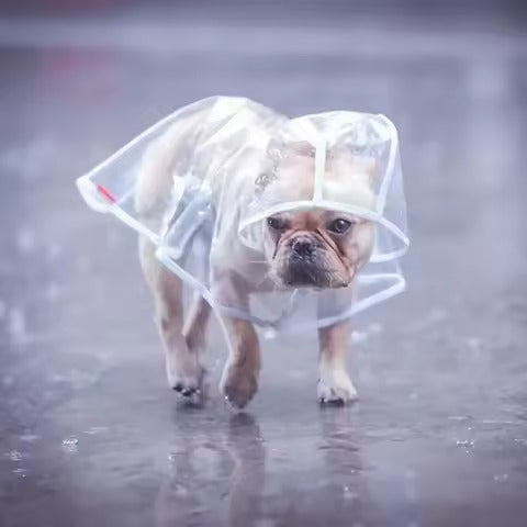 PVC waterproof transparent raincoat dress for pet puppies, with hood