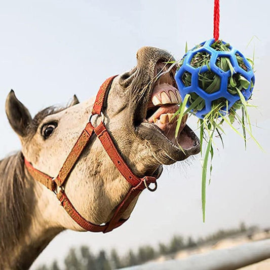 Horse treat balls and hay feeder toys, multi-functional feeders, made of durable and safe materials.