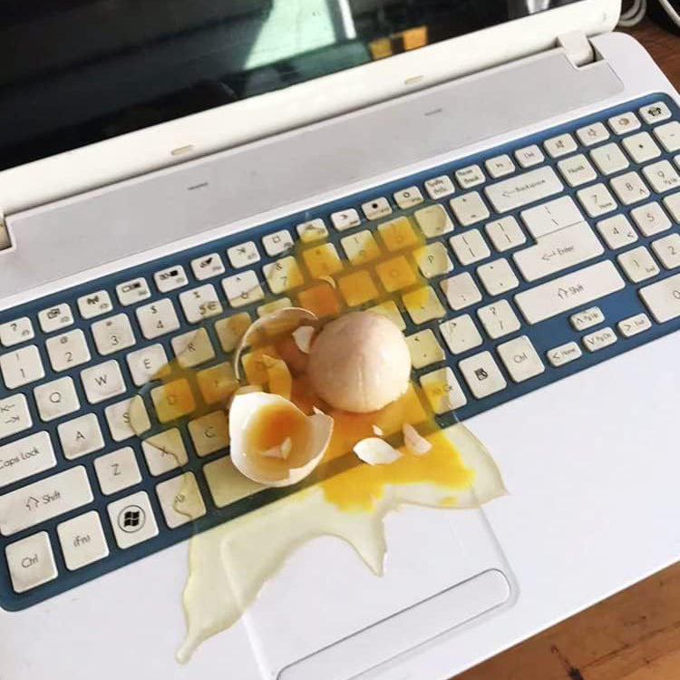 Funny Broken Egg Phone Stand