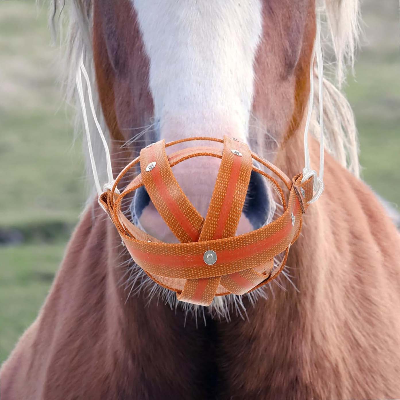Breathable Horse Muzzles for Farm Animal Muzzles Prevent Biting Horse for Pasture Made of Leather Bits Western