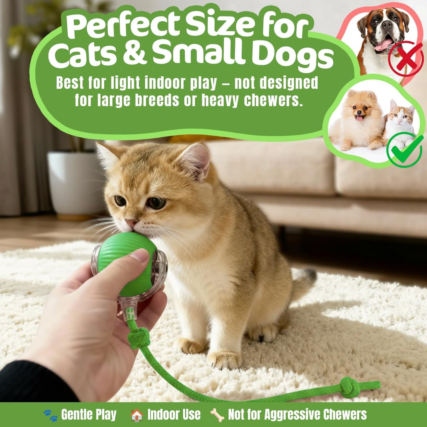 Interactive Cat Toy Ball, Active Smart Rolling Balls for Cat, Electric Toy Balls for Indoor Cats