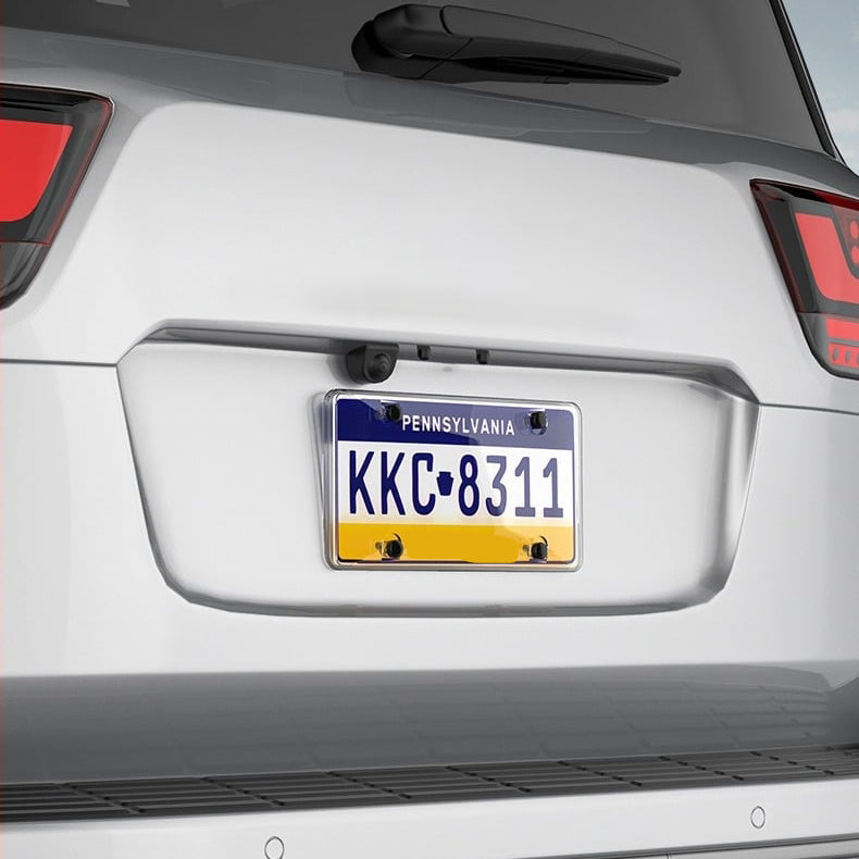 License Plate Protector