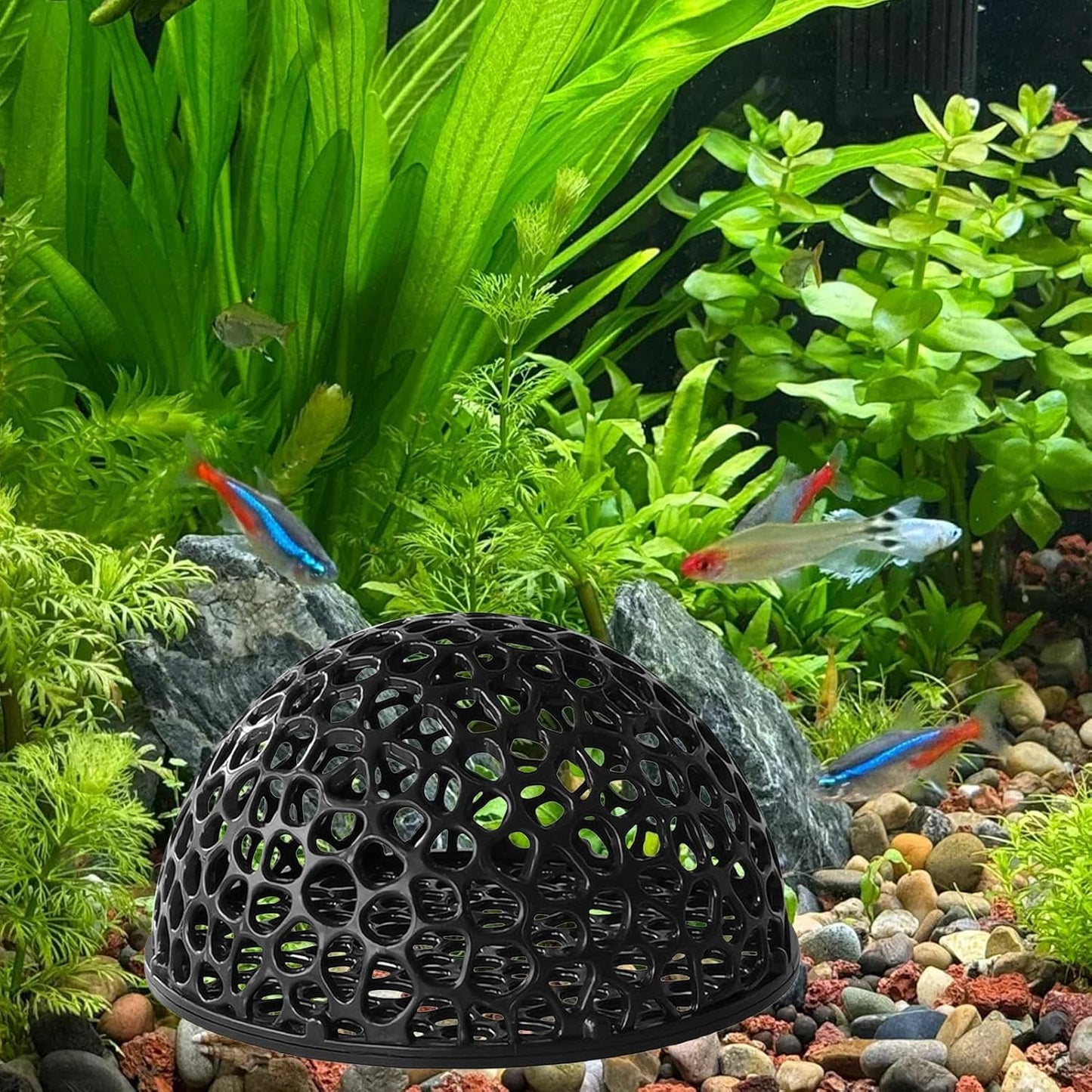 Durable and multifunctional ceramic aquarium shrimp nest/cave | Ceramic aquarium shrimp nest