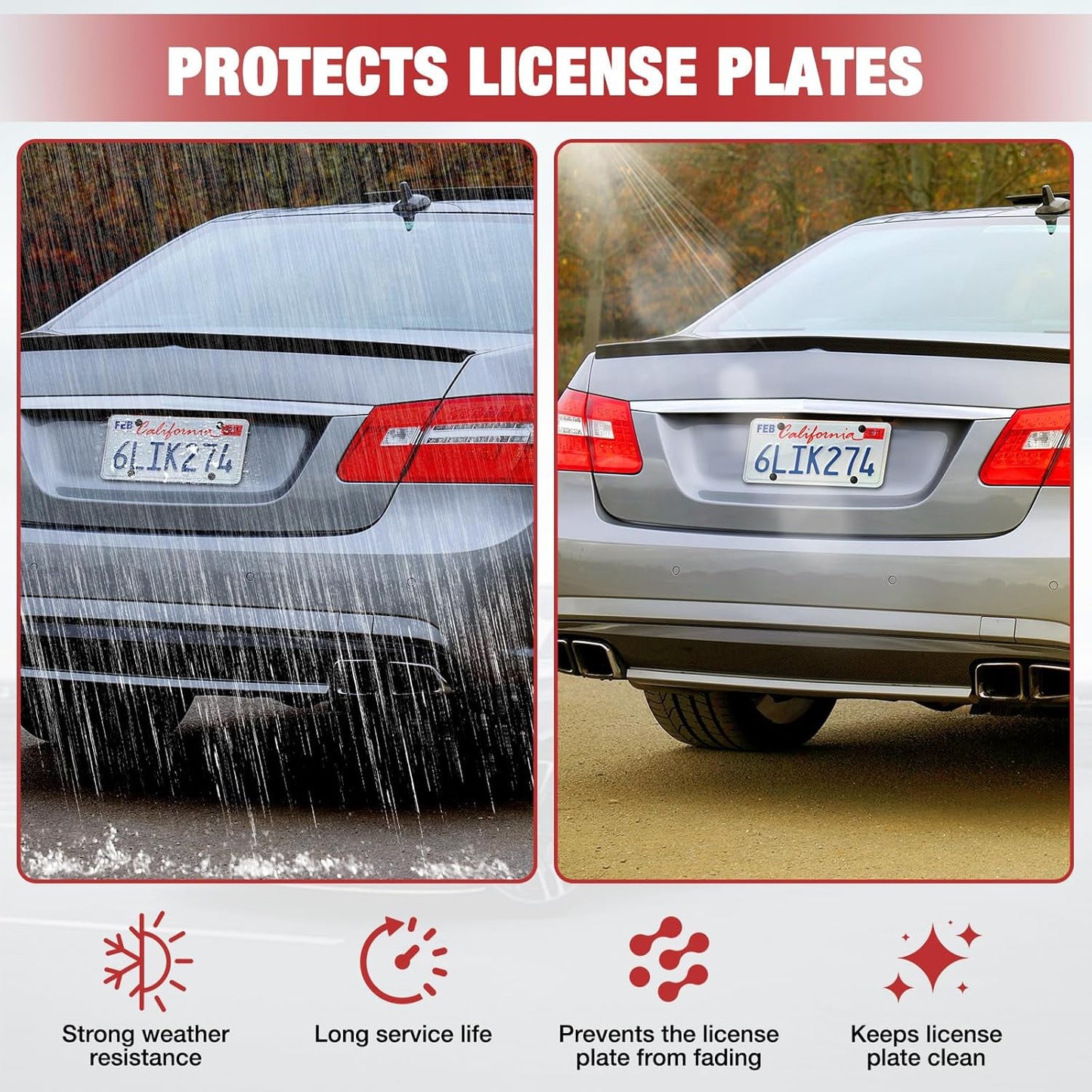 License Plate Protector