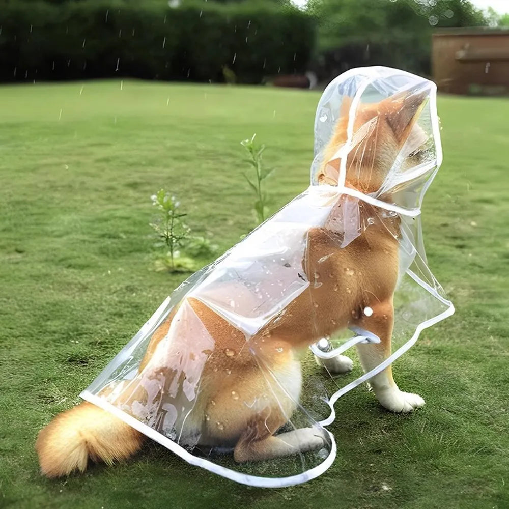 PVC waterproof transparent raincoat dress for pet puppies, with hood
