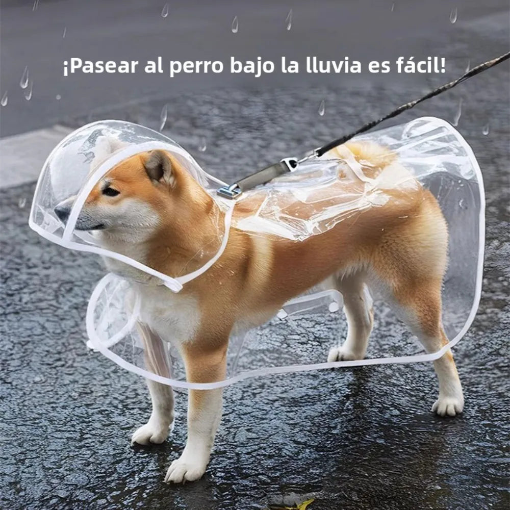 PVC waterproof transparent raincoat dress for pet puppies, with hood