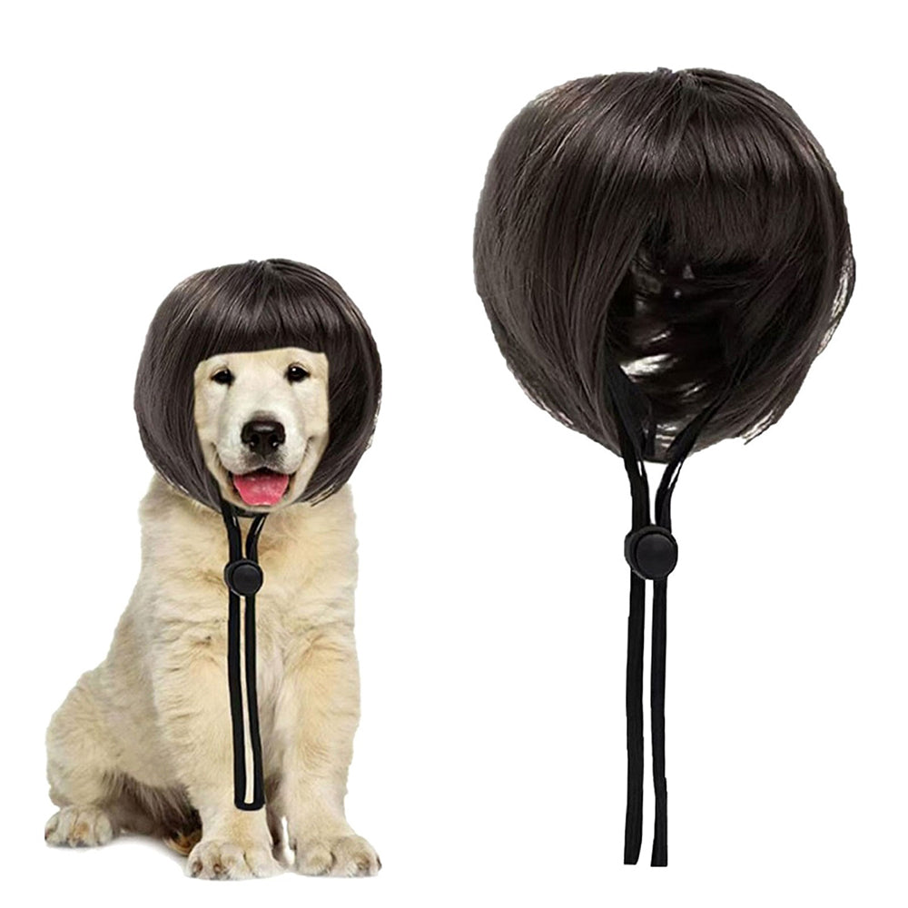 Pet-themed bangs wigs suitable for parties