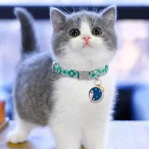 Pet Collar — Features a Safety Buckle and Bell